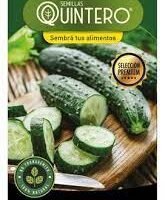Semillas orgánicas Pepino