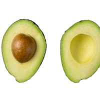 Palta criolla orgánica