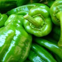 Morrón verde orgánico