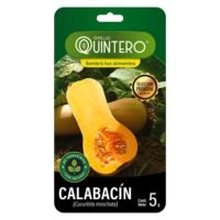 Semillas Orgánicas Calabacín