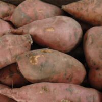 Boniatitos orgánicos